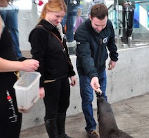 Julie and Roy feeding a seal at the New England Aquarium